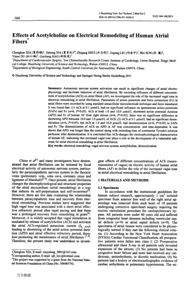 Effects of Acetylcholine on Electrical Remodeling of Human Atrial Fibers