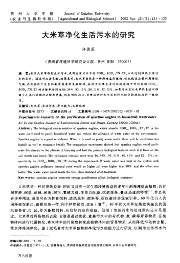 大米草凈化生活污水的研究
