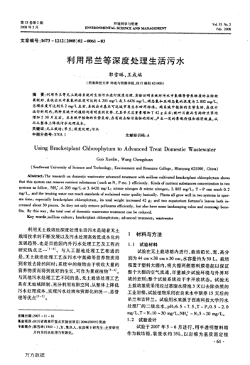 利用吊蘭等深度處理生活污水