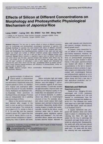 Effects of Silicon at Different Concentrations on Morphology and Photosynthetic Physiological Mechan