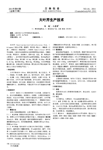 大葉芹生產(chǎn)技術(shù)