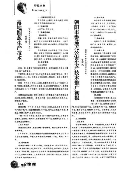 露地圓蔥生產技術