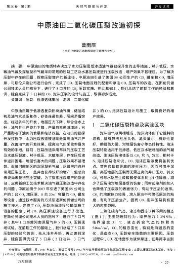 中原油田二氧化碳壓裂改造初探
