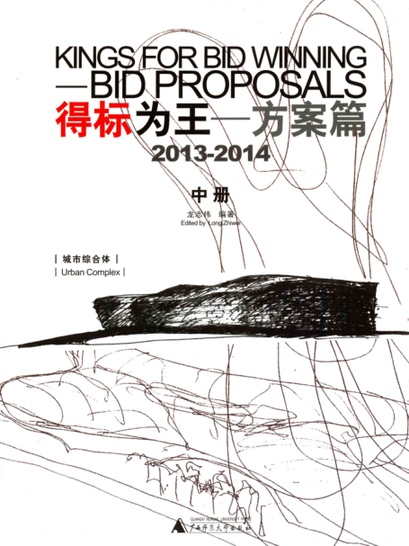得標(biāo)為王 方案篇 2013-2014 中冊(cè) 龍志偉 編著 2014年版