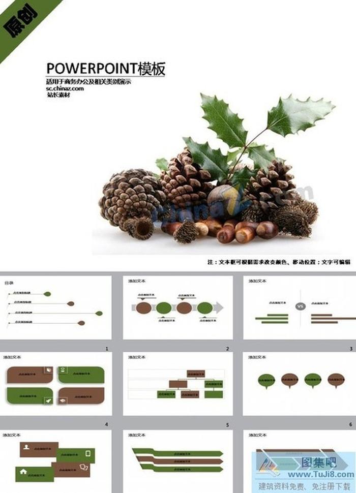 松果零食電商PPT模板下載