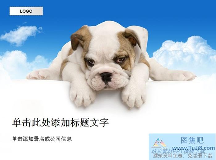 寵物小狗PPT模板