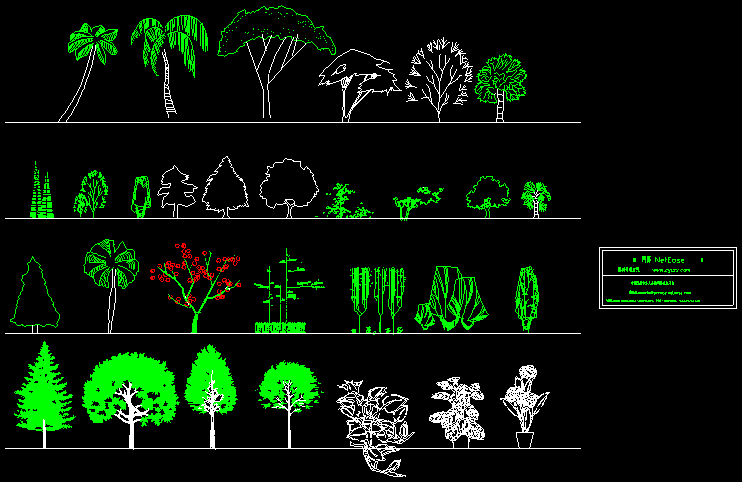 園林立面植物圖-插畫(huà)家cad圖例系列.dwg