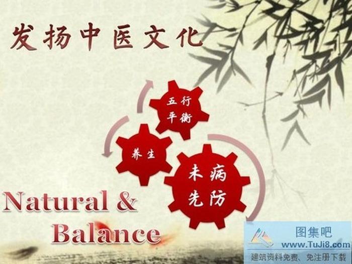 中醫(yī)文化PPT模板