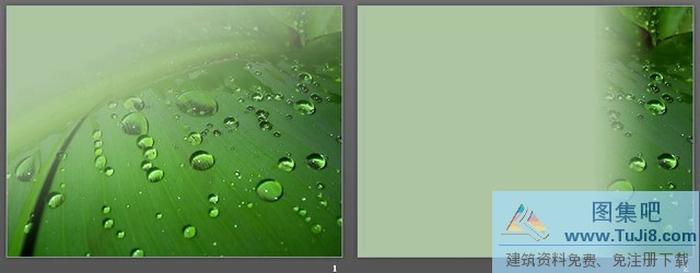 綠葉露珠PPT背景模板