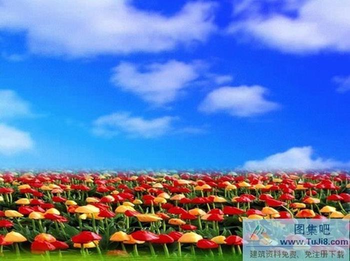 歡迎領(lǐng)導(dǎo)PPT模板