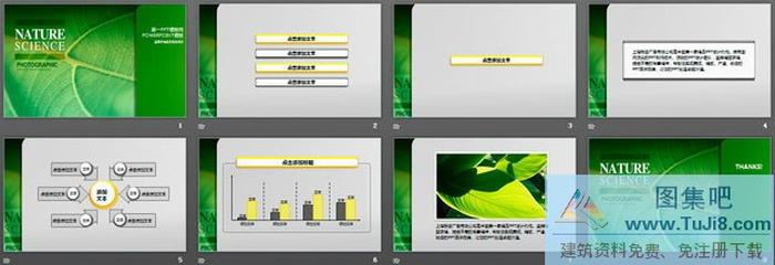 生命的綠色綠色植物PowerPoint模板