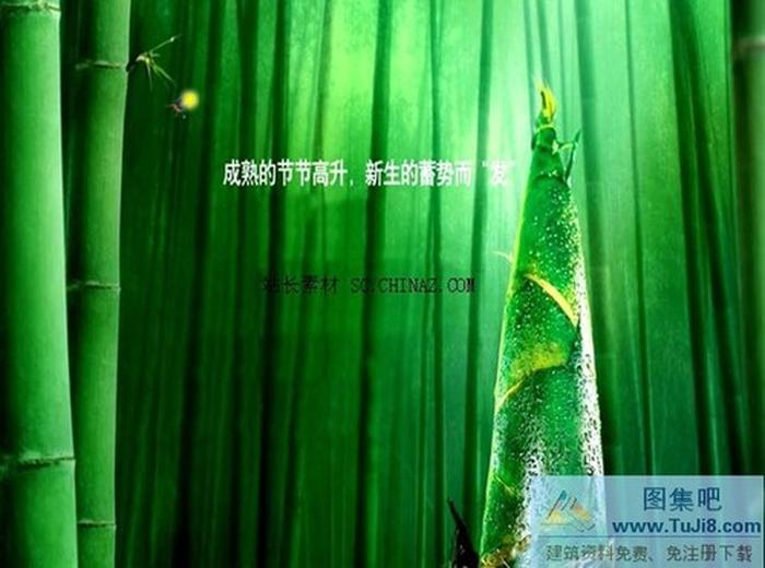 竹林綠筍PPT模板