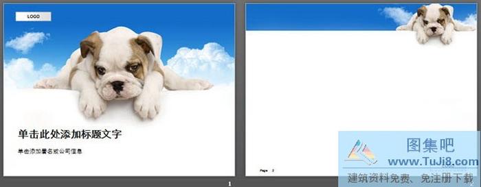 可愛的狗狗背景動物PPT模板下載
