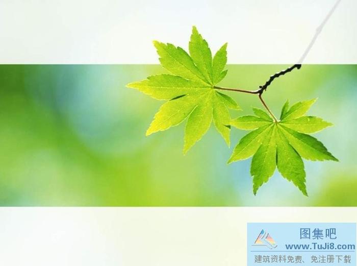 綠色樹(shù)葉PPT模板