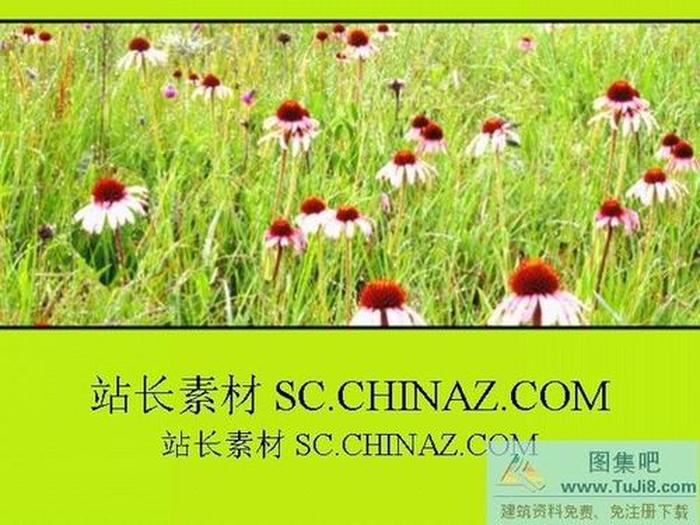 精美ppt模板下載