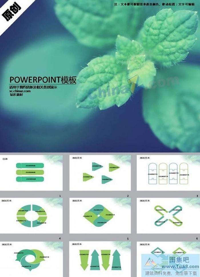 清新薄荷葉ppt模板下載