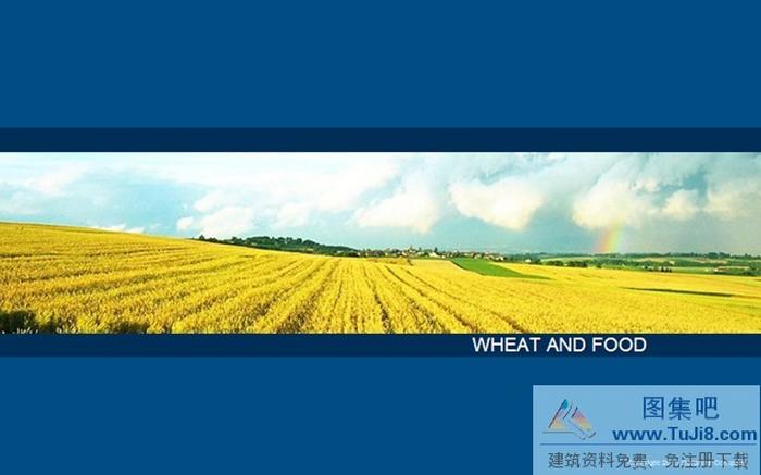 麥田風光ppt模板下載