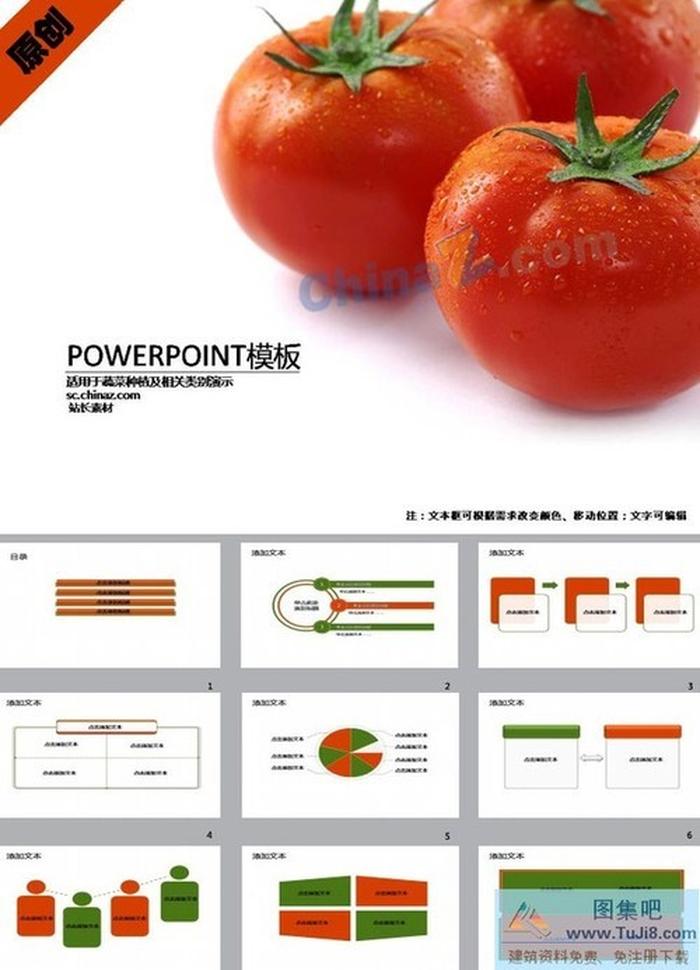 蕃茄栽培技術(shù)ppt模板下載