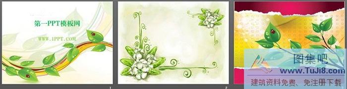 卡通藤蔓枝葉背景PPT模板下載