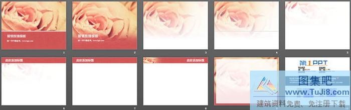 粉色爛漫玫瑰花背景的植物幻燈片模板