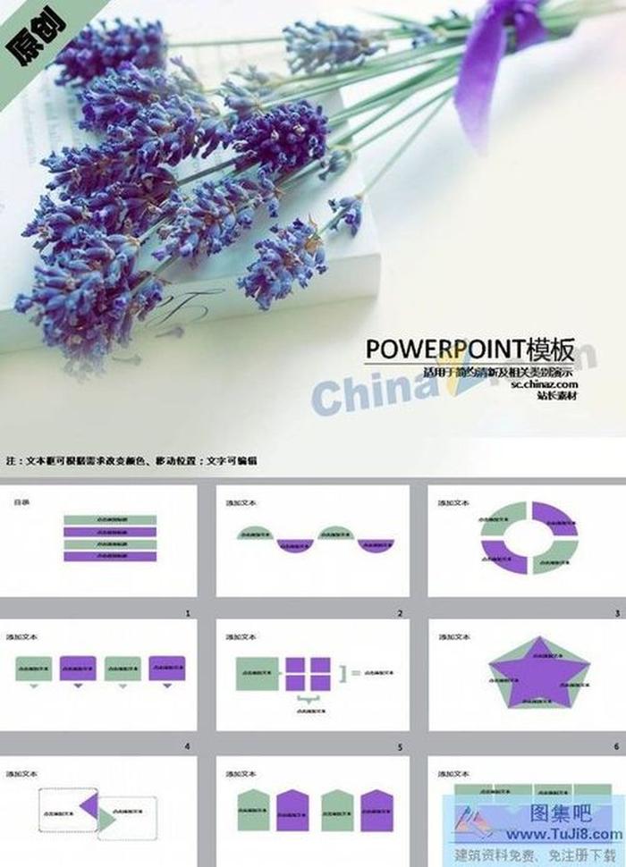 熏衣草ppt模板下載