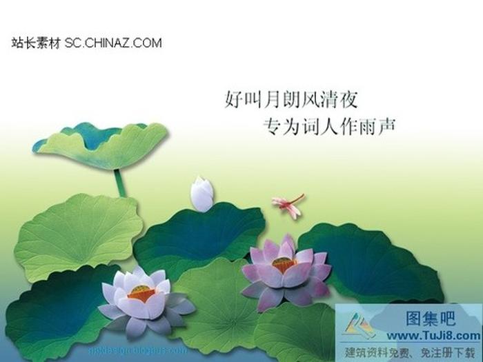 中秋節(jié)荷花ppt模板