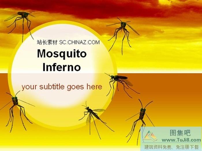 個性設(shè)計PPT模板