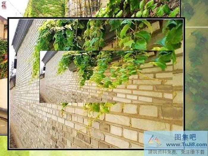 老墻新綠PPT模板