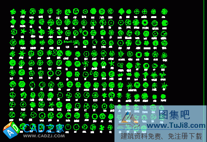 園林樹(shù)木CAD圖庫(kù)