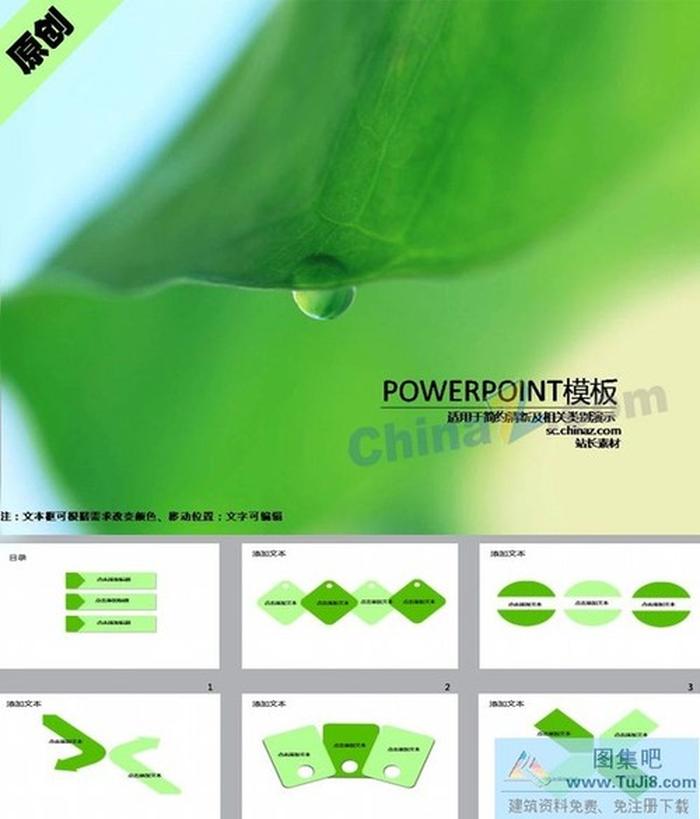 荷葉露珠ppt模板下載