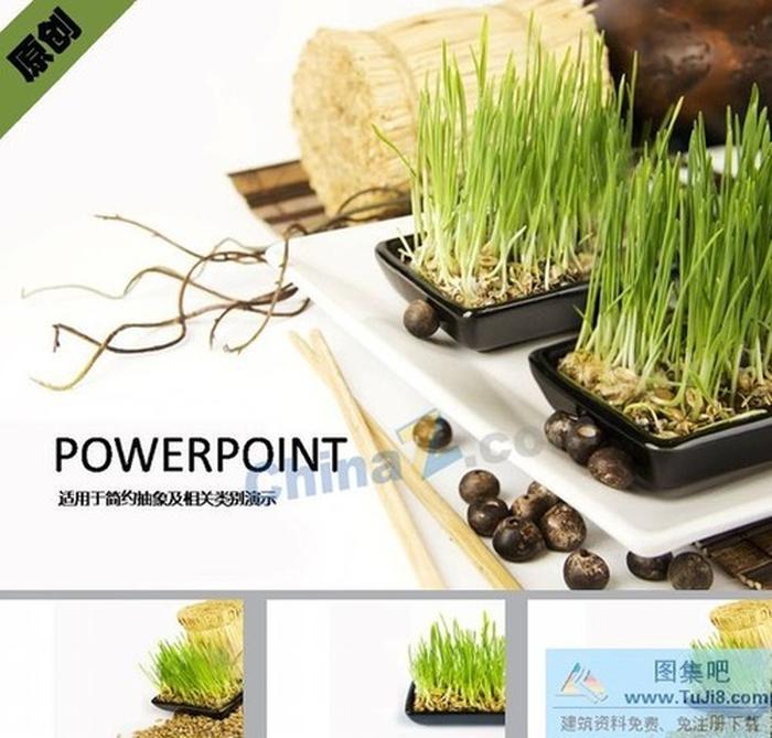 綠色幼苗盆栽ppt模板下載
