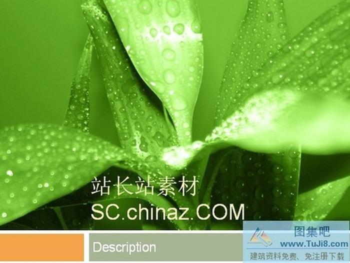 綠葉背景PPT模板