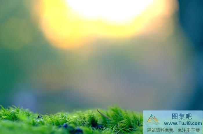 唯美青青草ppt背景圖片