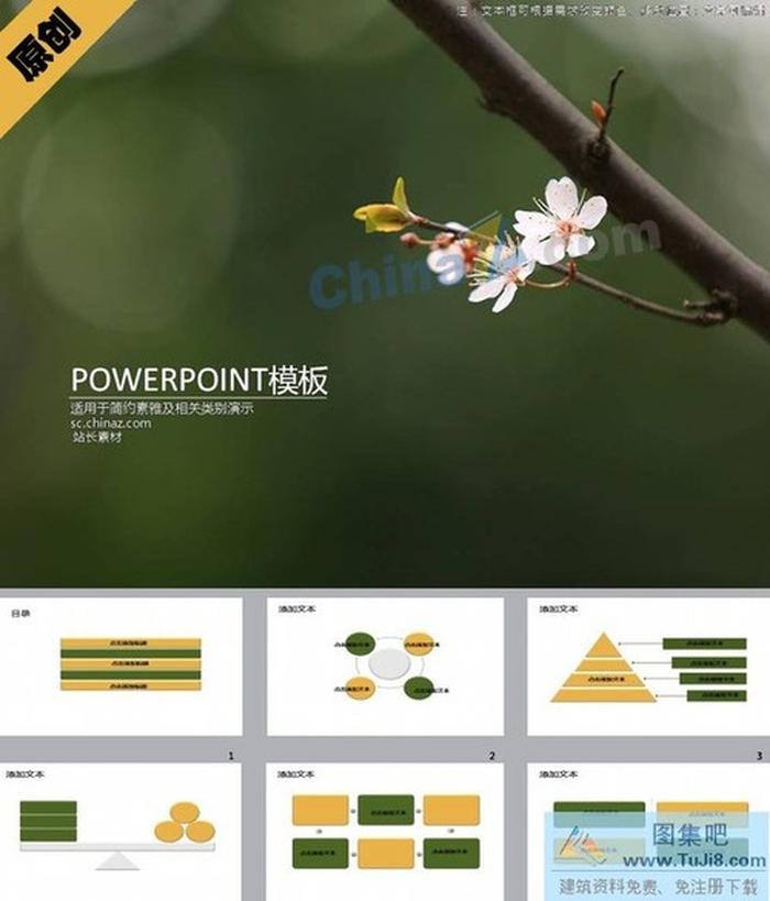 孤傲梅花PPT模板