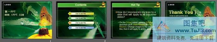 精美蝴蝶花朵PPT模板下載