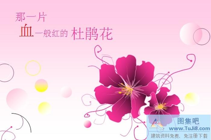 杜鵑花PPT模板