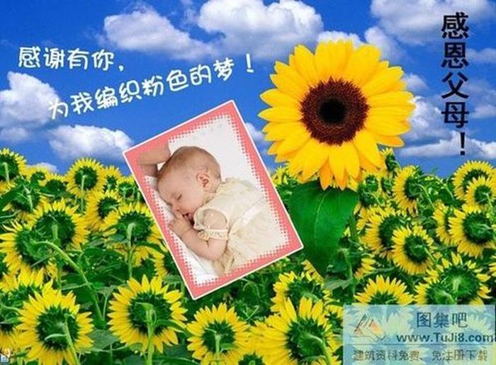 感恩的心PPT模板