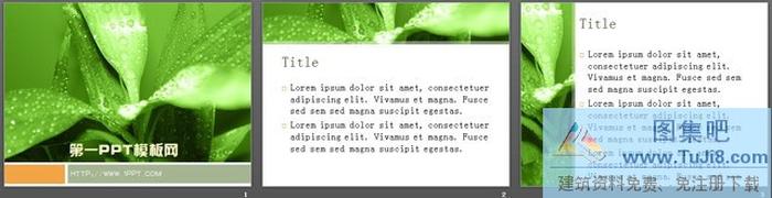 綠色植物背景PPT模板下載