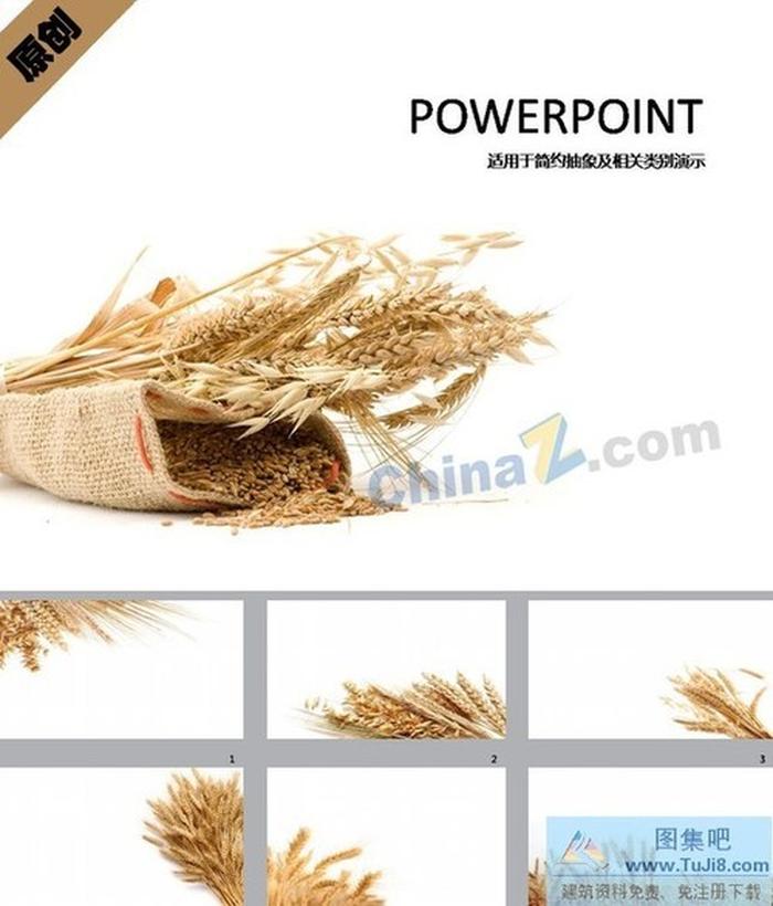 金黃麥穗ppt模板下載