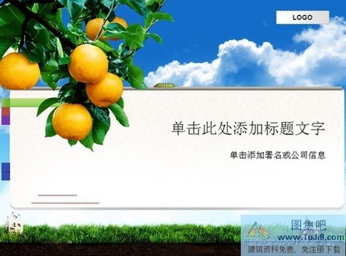 橘子水果PPT模板