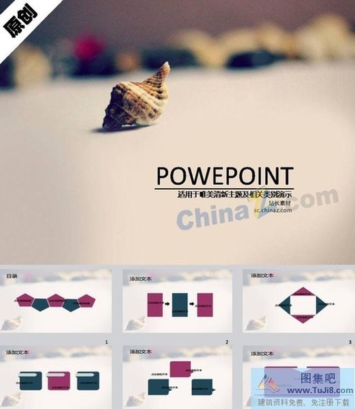 沙灘海螺ppt模板下載