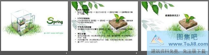 清新淡雅的春季植物PPT模板
