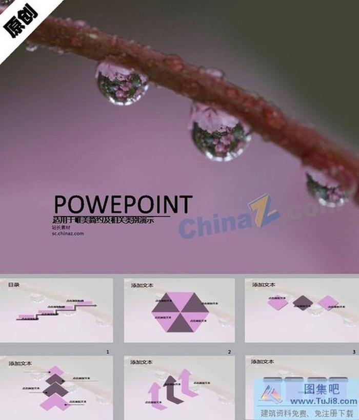 枝上露珠ppt模板下載