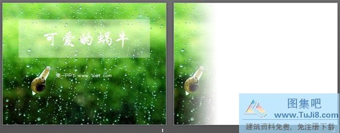 可愛(ài)蝸牛動(dòng)物PPT模板下載