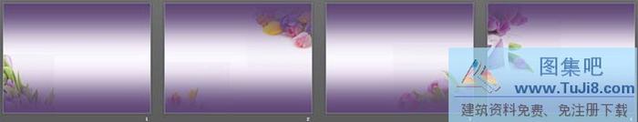 一組紫色郁金香PPT背景圖片下載