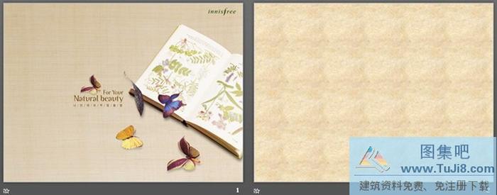 古典蝴蝶背景PPT模板下載