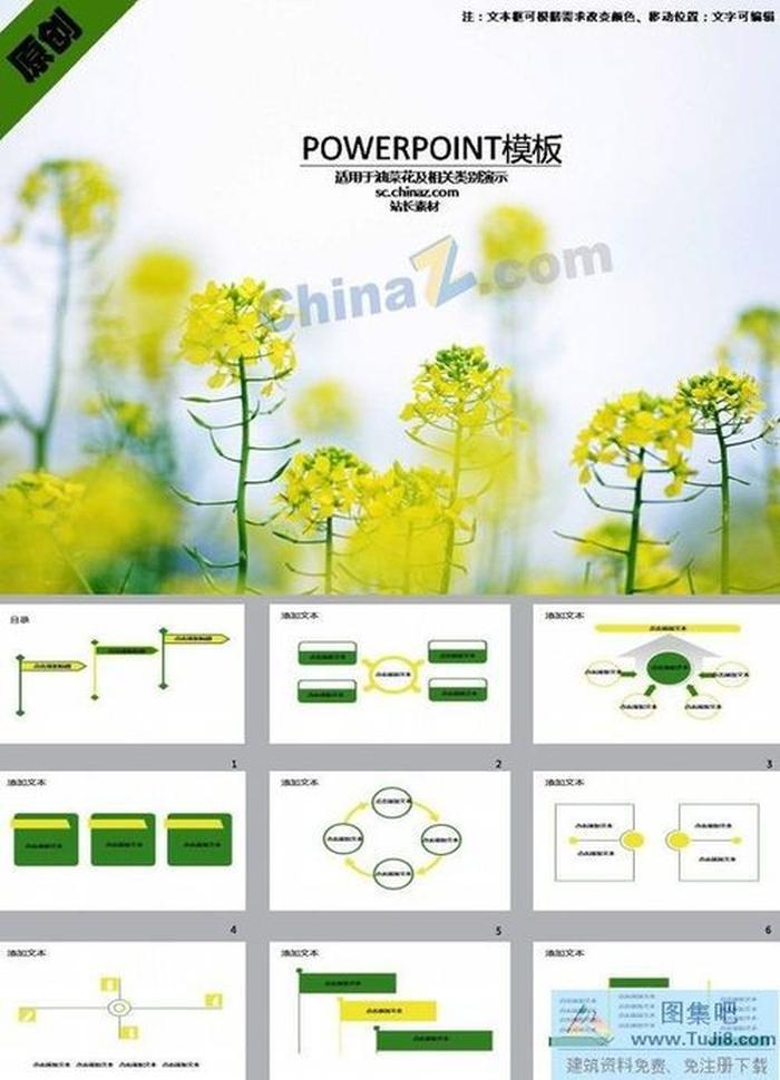 油菜花景點ppt模板下載