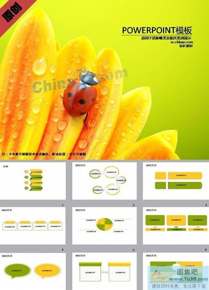 雨后瓢蟲花瓣PPT模板
