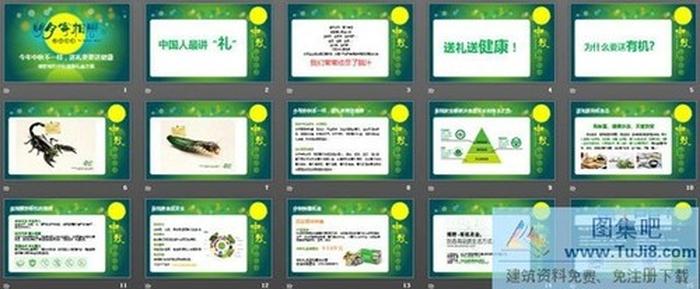綠色食品公司中秋節(jié)宣傳PPT模板