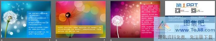 3張彩色唯美的蒲公英幻燈片背景圖片